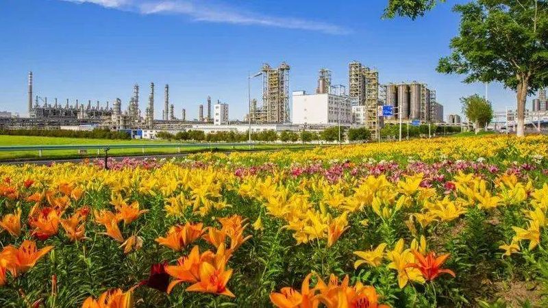 高分子材料批发：如何规避潜在风险**